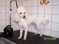 /album/fotogaleria/frizurka-2006-jpg/